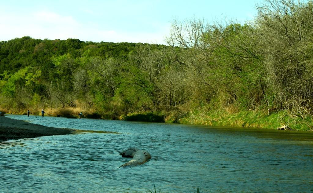 Dinosaur Valley State Park-Glen Rose必去景点