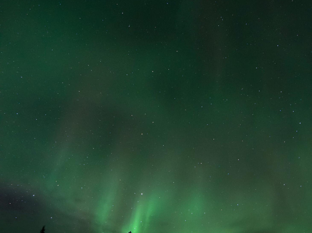 Muktuk Adventures-白马市必去景点