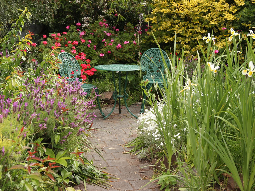 Hollyhock Cottage主图