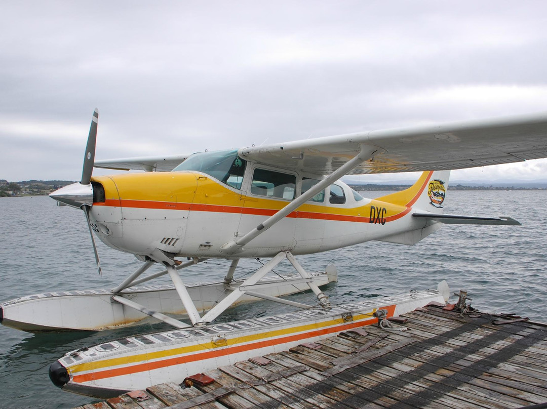 Taupo's Floatplane-陶波必去景点