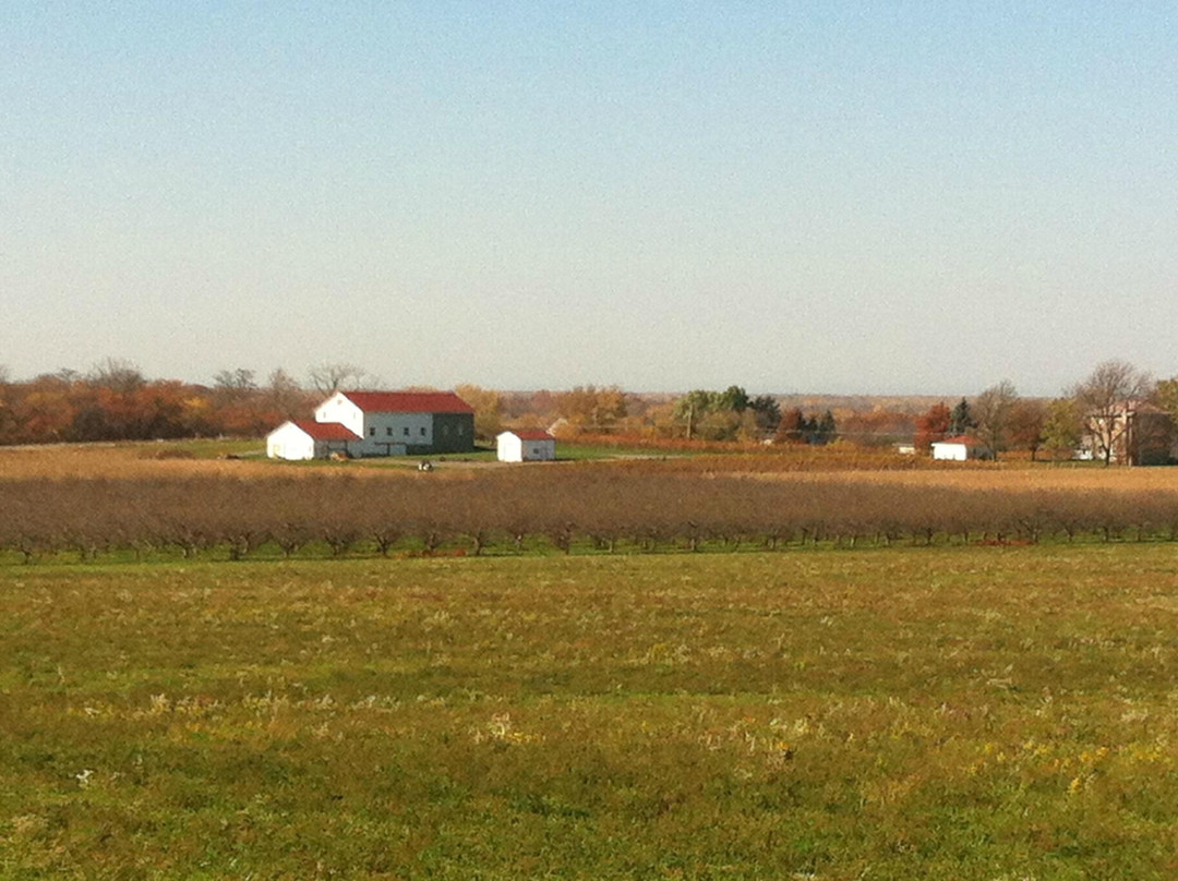 Niagara Wine Trail USA-尼亚加拉大瀑布必去景点