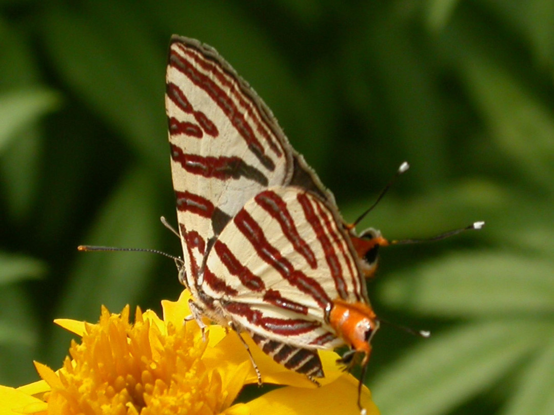 悠然台民宿主图