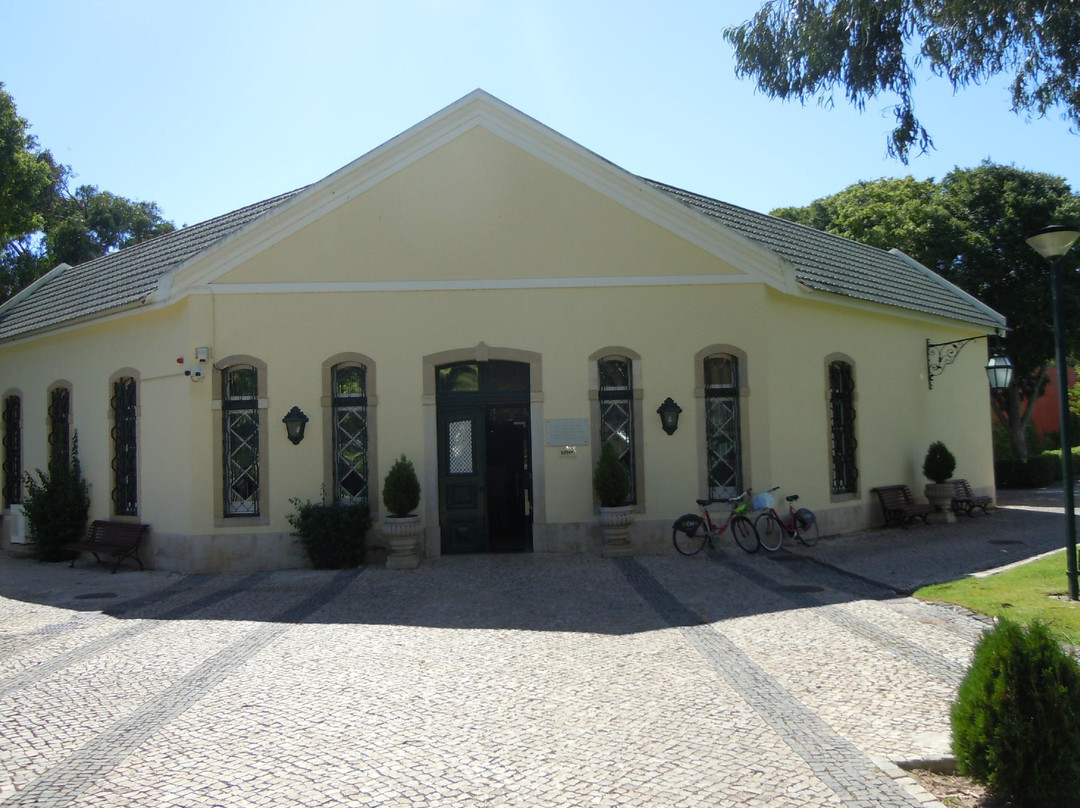 Museo do Mar (Museum of the Sea)景点图片