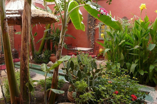 达尔达亚娜民宿主图