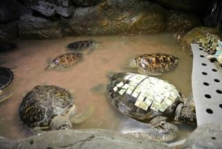 大连海洋乐园主图