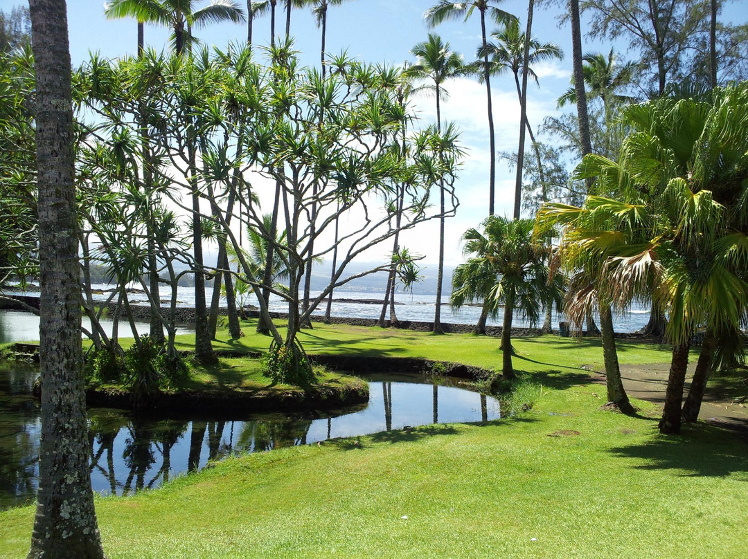 理查德森海滩公园-希洛必去景点