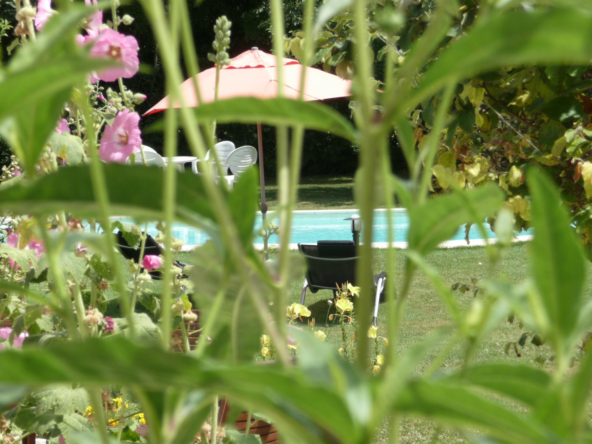 Le Clos Du Plantis-泳池
