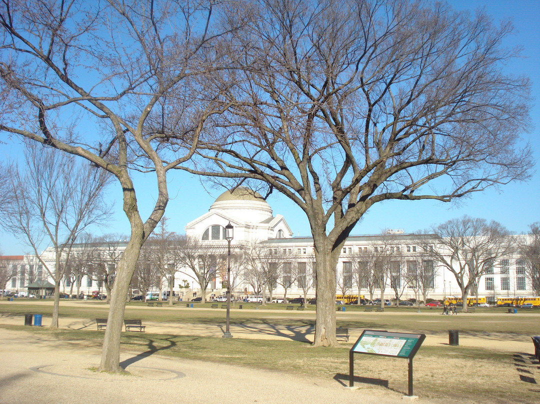 史密森尼国家自然历史博物馆-华盛顿特区必去景点