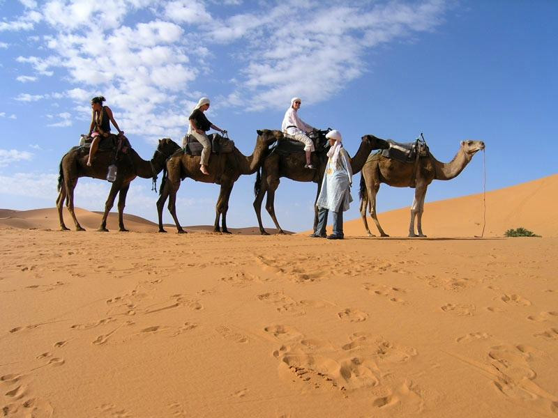 Fes Excursion Day Tours-非斯必去景点