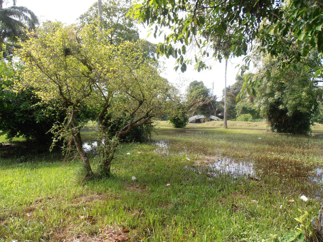 Guyana Botanical Gardens景点图片