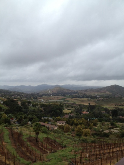 Cordiano Winery景点图片