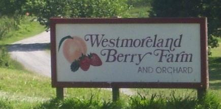 Westmoreland Berry Farm & Market景点图片