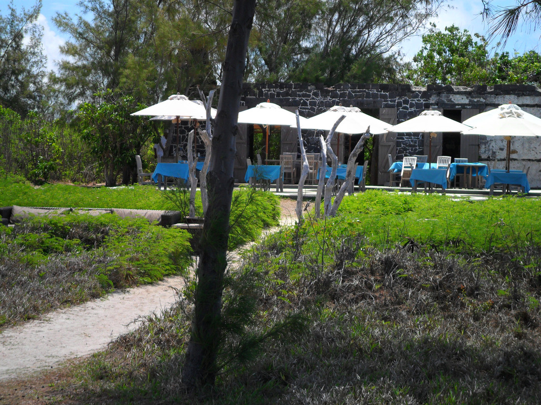 Mauritius Attractions Day Tours-大湾必去景点