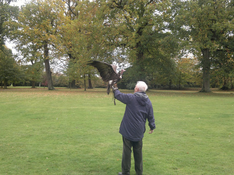 The Hawking Centre-Doddington必去景点