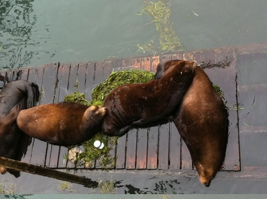 Newport's Historic Bayfront-纽波特必去景点