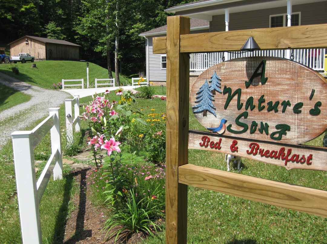 A Natures Song B&B主图