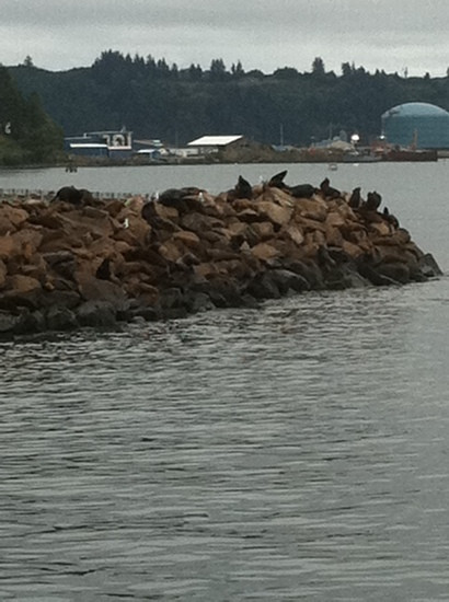 Newport's Historic Bayfront-纽波特必去景点