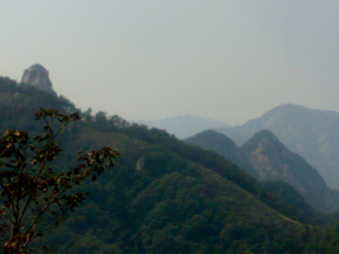 蒙山森林公园-蒙阴县必去景点