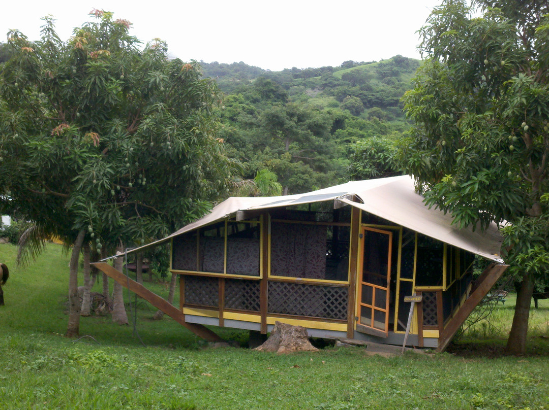 Mount Victory Camp