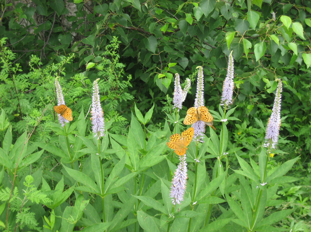 百花山国家级自然保护区-北京市必去景点