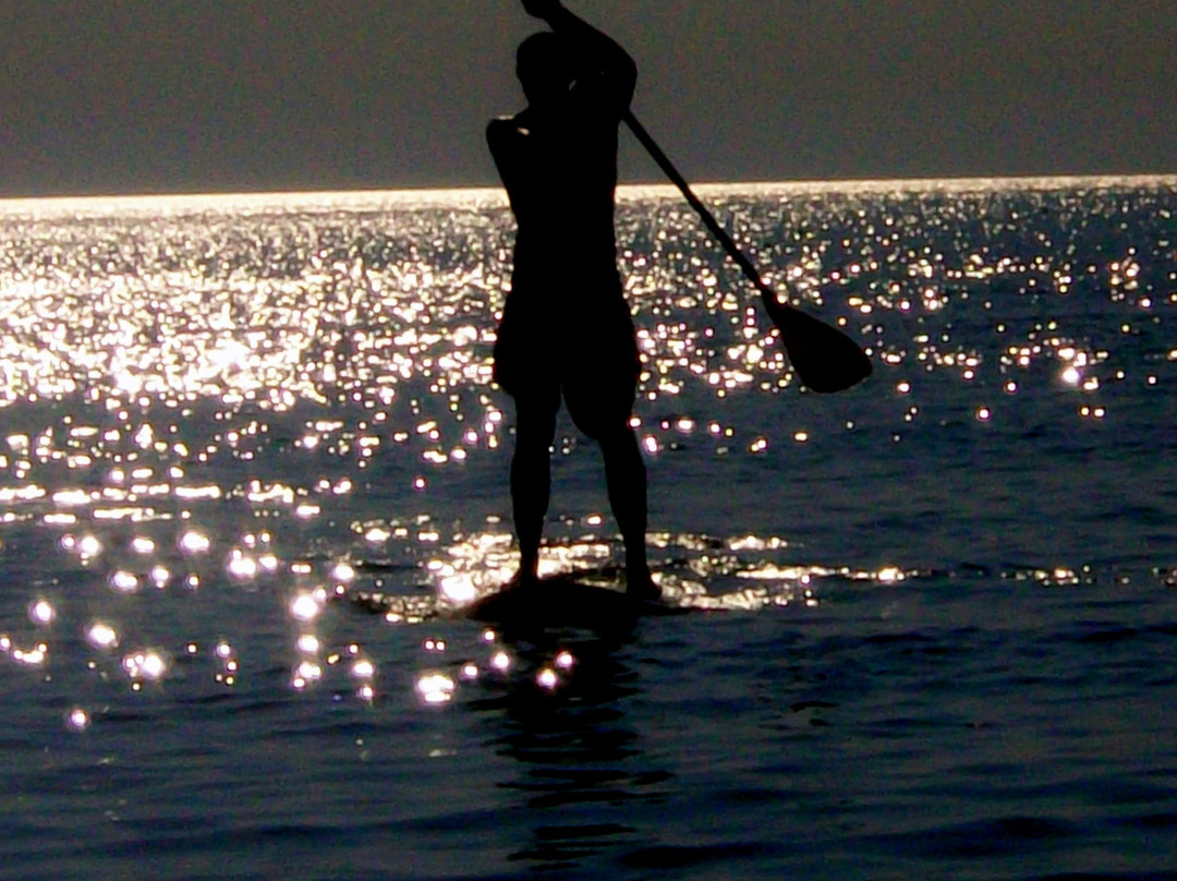 Kiptopeke State Park-Cape Charles必去景点