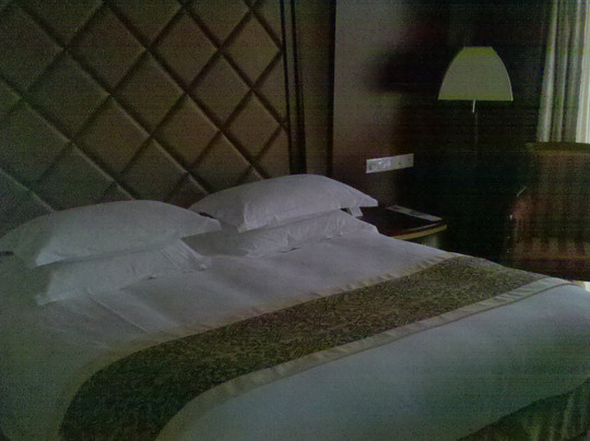 泰耐克国际大酒店主图