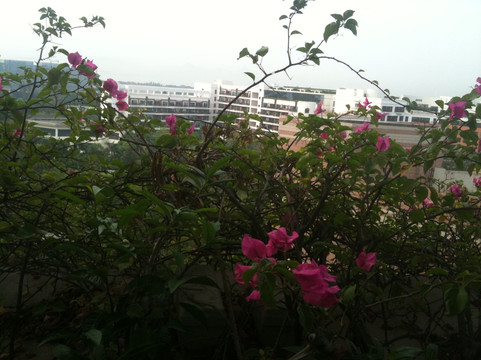 深圳海景嘉途酒店主图