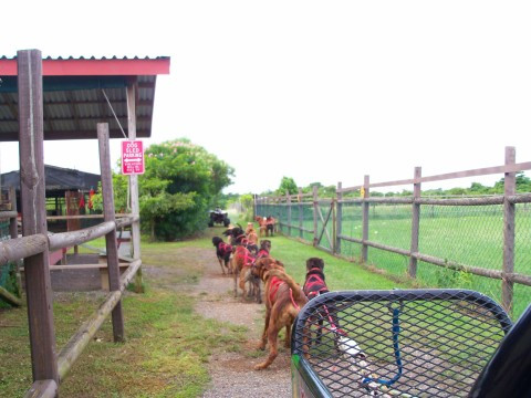 Chukka Island Village Outpost at Ocho Rios-奥乔里奥斯必去景点