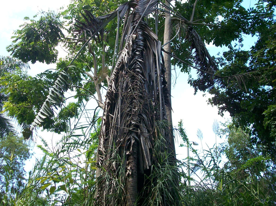 Albergue Olímpico Germán Rieckehoff-Salinas必去景点