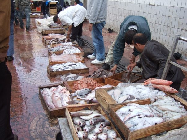 Agadir Fishing Port-阿加迪尔必去景点