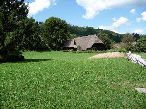 Black Forest Museum景点图片