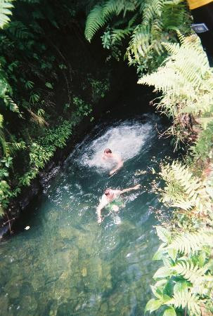 Titou Gorge-多米尼克必去景点
