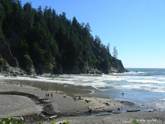 Oswald West State Park-坎农比奇必去景点