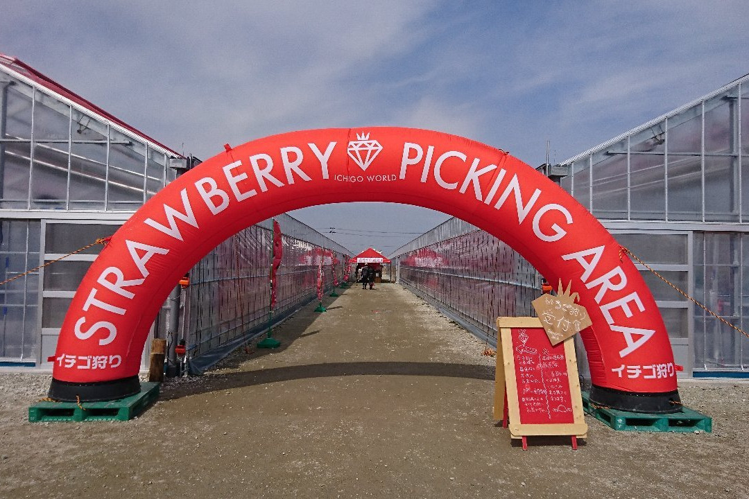 ICHIGO WORLD-山元町必去景点