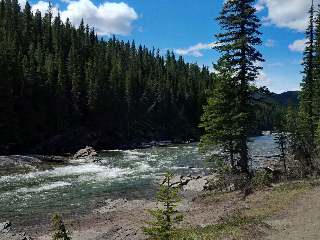 Paddys Flat Campground