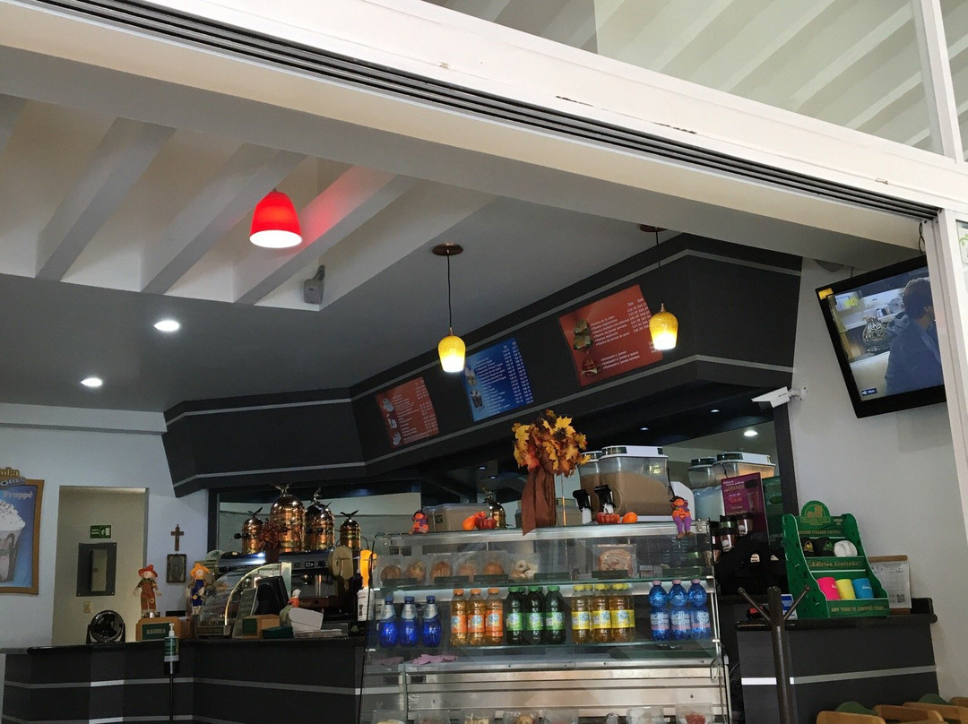 The Italian Coffee Company "Plaza Laurel"