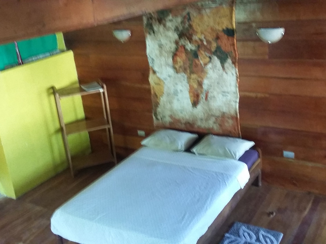 Cabinas Bucus and Tours