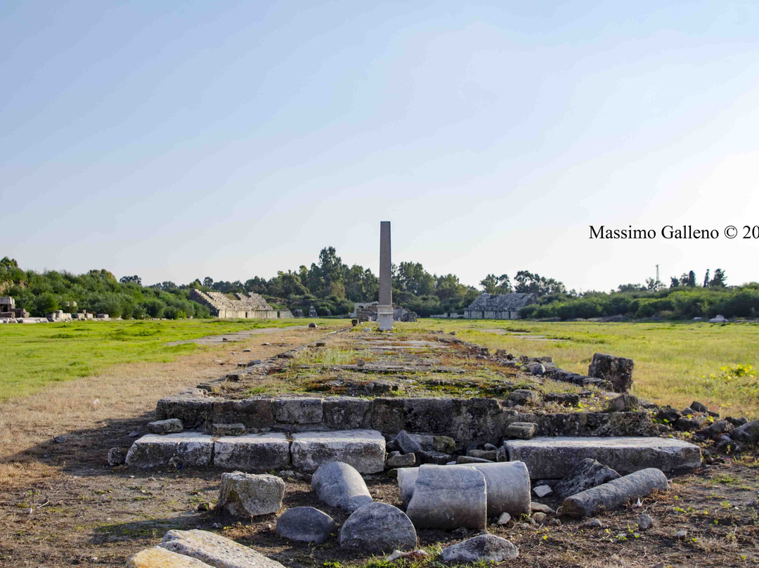 Tyre Hippodrome-Tyre必去景点