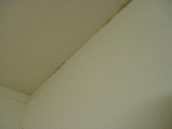 Hotel-Bergpension Hanneli