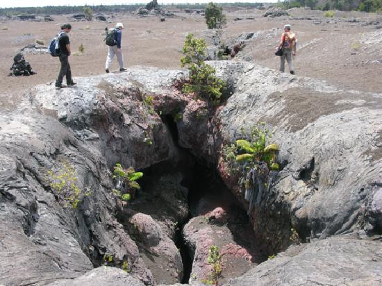 VolcanoDiscovery Hawai'i景点图片