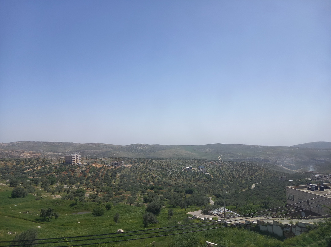 Taybeh Golden Hotel主图