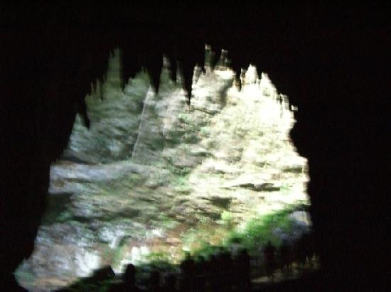 里约热内卢佳美洞公园 (Parque de las Cavernas del Rio Camuy)景点图片