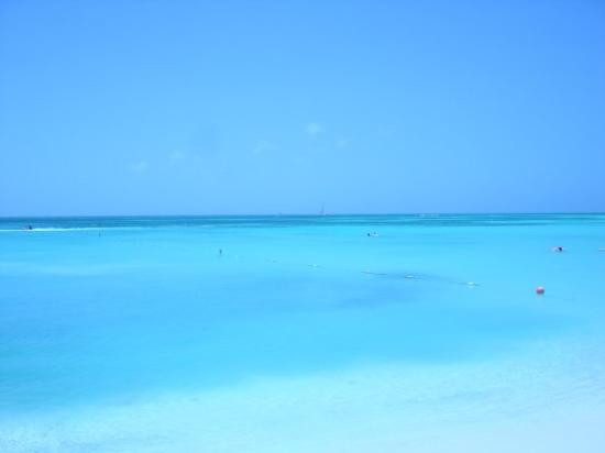 Palm Beach-棕榈/鹰海滩必去景点