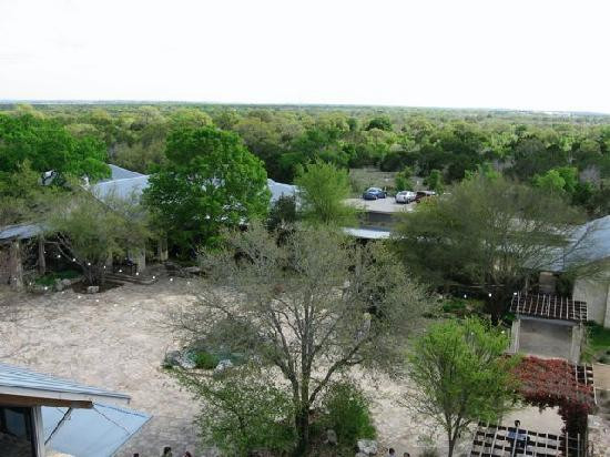 伯德约翰逊夫人野花中心-奥斯丁必去景点