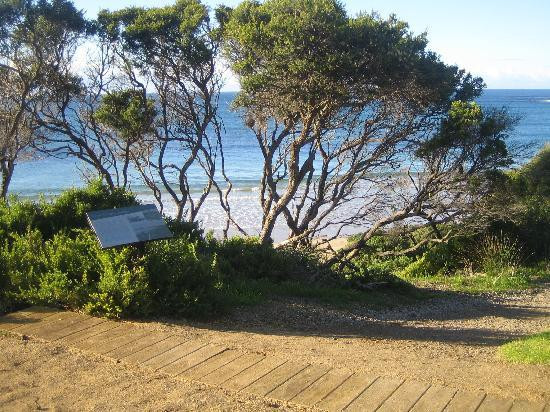 墨尔本最佳一日游-墨尔本必去景点