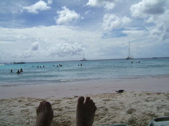 Carlisle Bay-布里奇顿必去景点