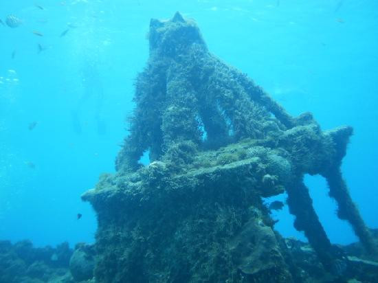 West Side Scuba Centre-布里奇顿必去景点