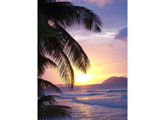 Long Bay Beach-托土拉必去景点