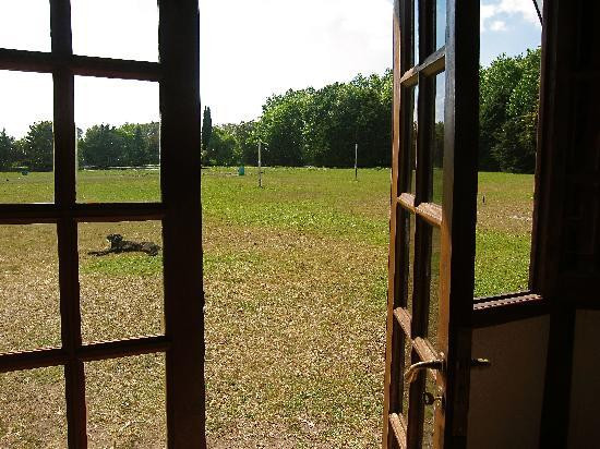 Caballos a la Par-布宜诺斯艾利斯必去景点