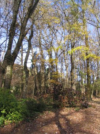 Huntsville Botanical Garden-亨茨维尔必去景点